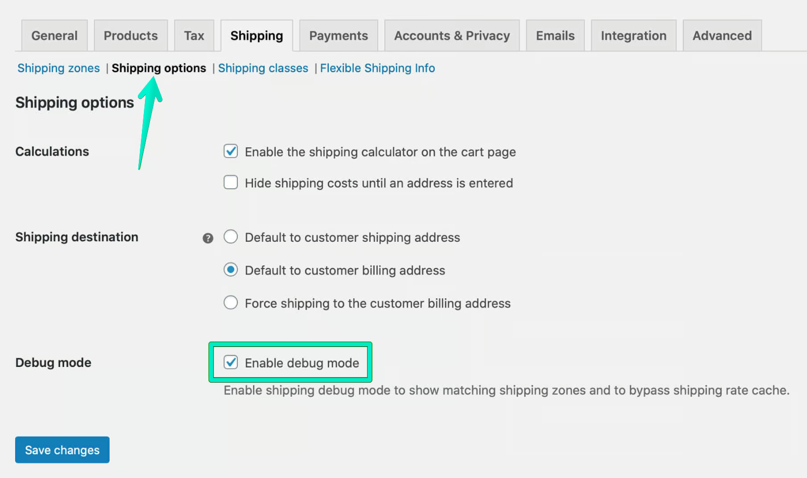 Enable WooCommerce Debug Mode