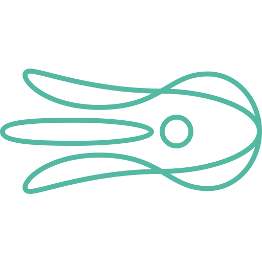 Octolize logo