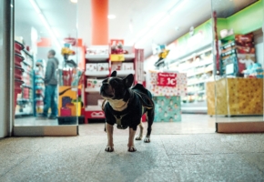 Pet supply store