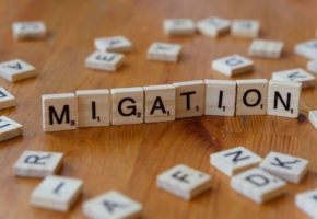 Scrabble blocks spelling out MIGRATION