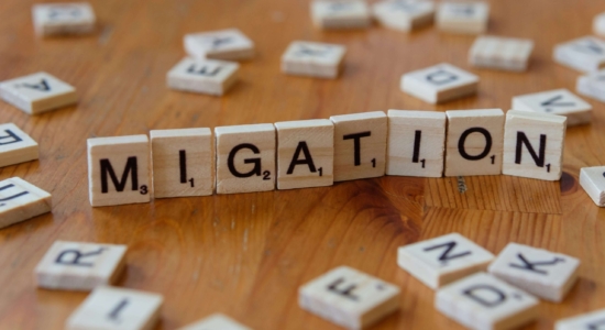 Scrabble blocks spelling out MIGRATION