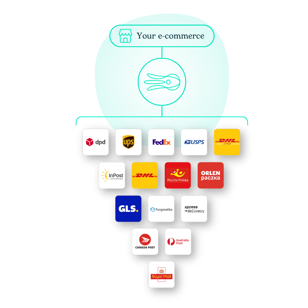 logos of carriers Octolize collaborates with